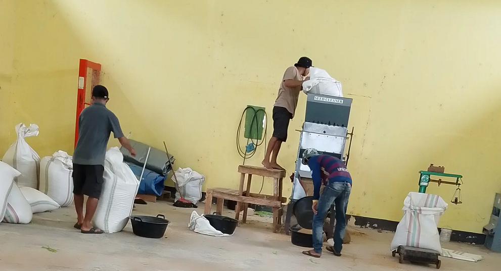 Pelaksanaan Seed Cleaner Benih Padi Varietas Cakrabuana dan Situbondo di Kabupaten Bantaeng