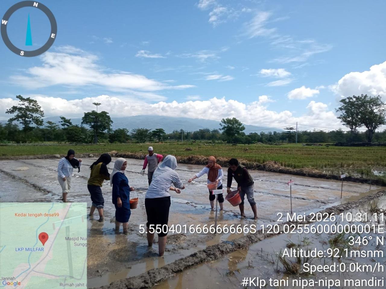 Kelompok Tani Nipa-Nipa Bersama PPL dan Dinas Pertanian Lakukan Penyemaian Benih Genjah di Kecamatan Pa'jukukang