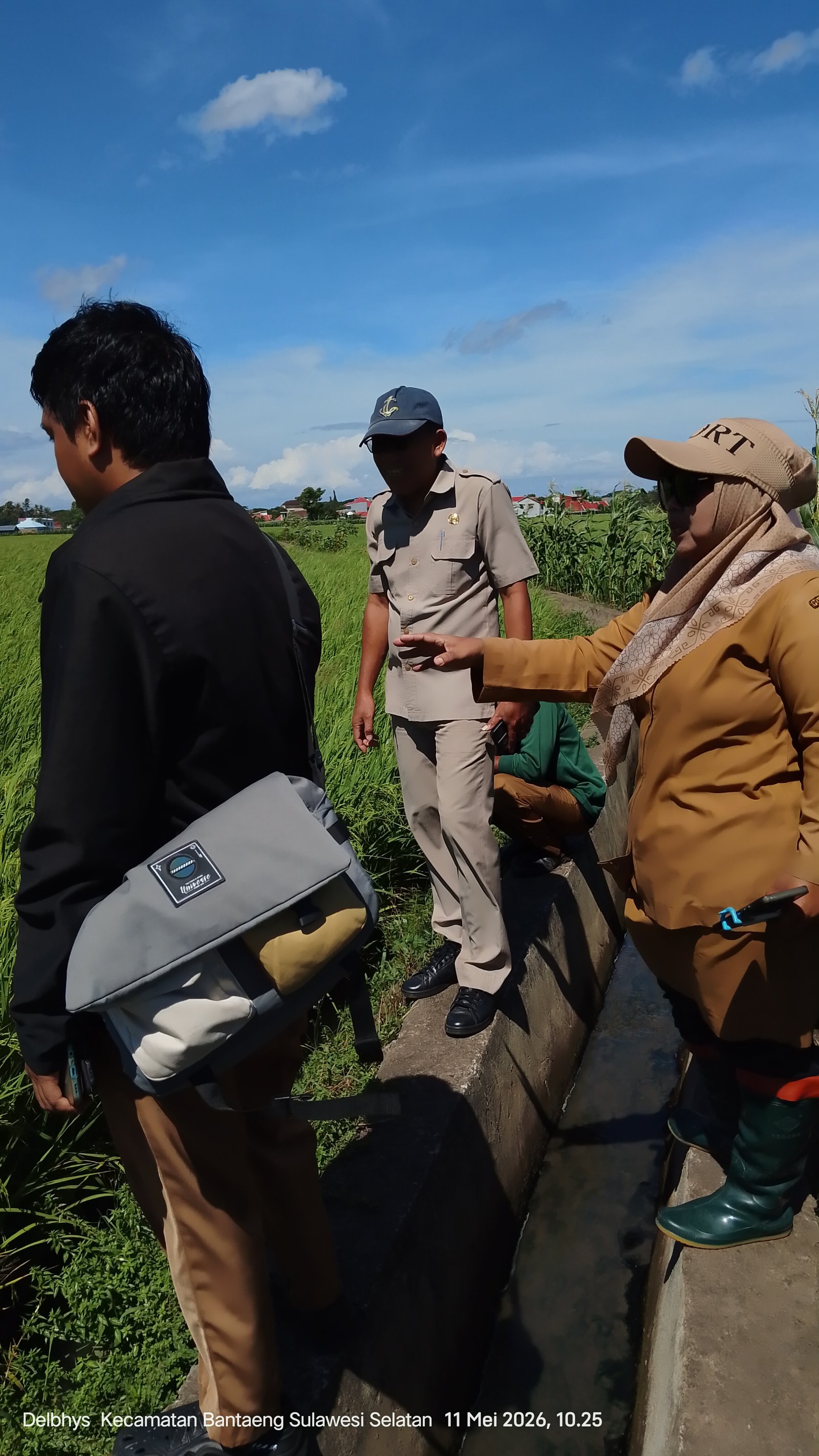 Pemeriksaan Lapangan PL2 dan PL3 Penangkaran Benih Padi Varietas Membramo di Lamalaka dan Lumpangan
