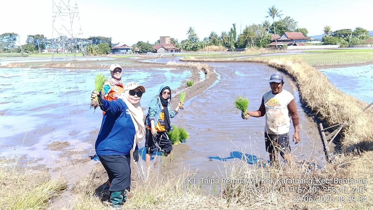 Uji Coba 5 Varietas Unggul Padi Guna Dongkrak Produktivitas