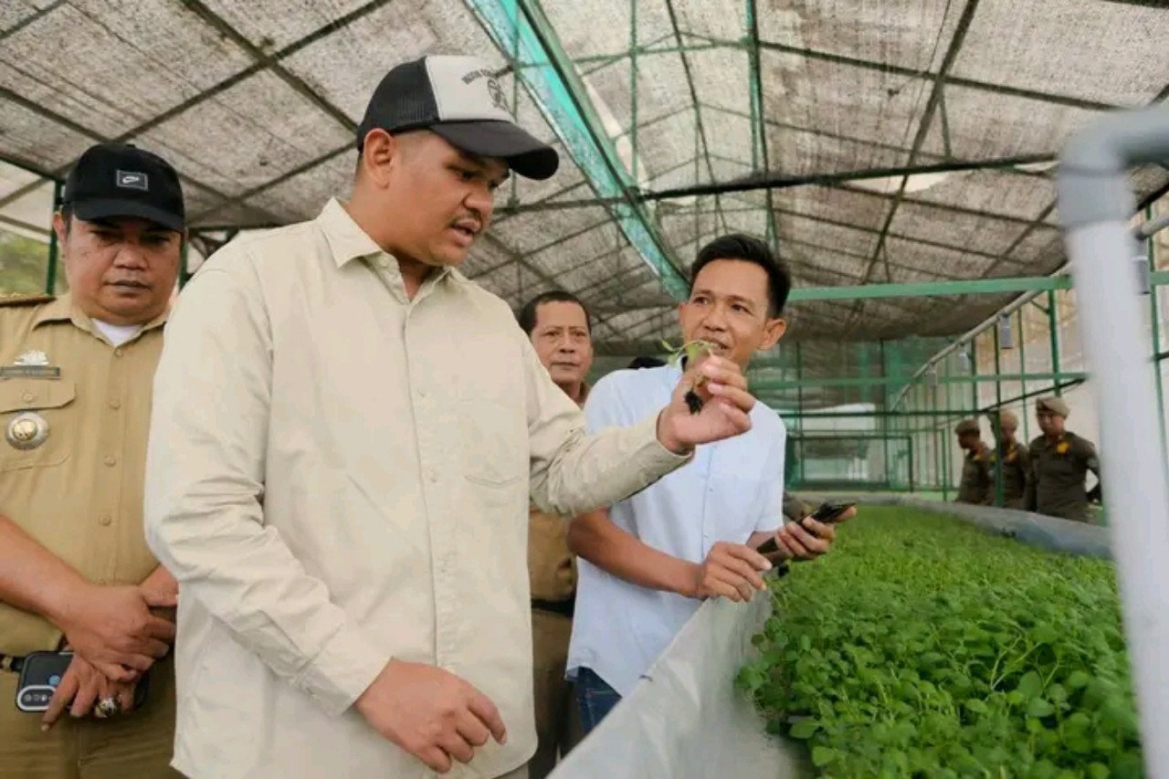 UPT Hortikultura Loka Kembangkan Benih Kentang G0 Berbasis Kultur Jaringan