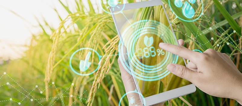 Pemanfaatan Informasi dan Teknologi Pertanian Dukung Peningkatan Produktivitas di Kabupaten Bantaeng