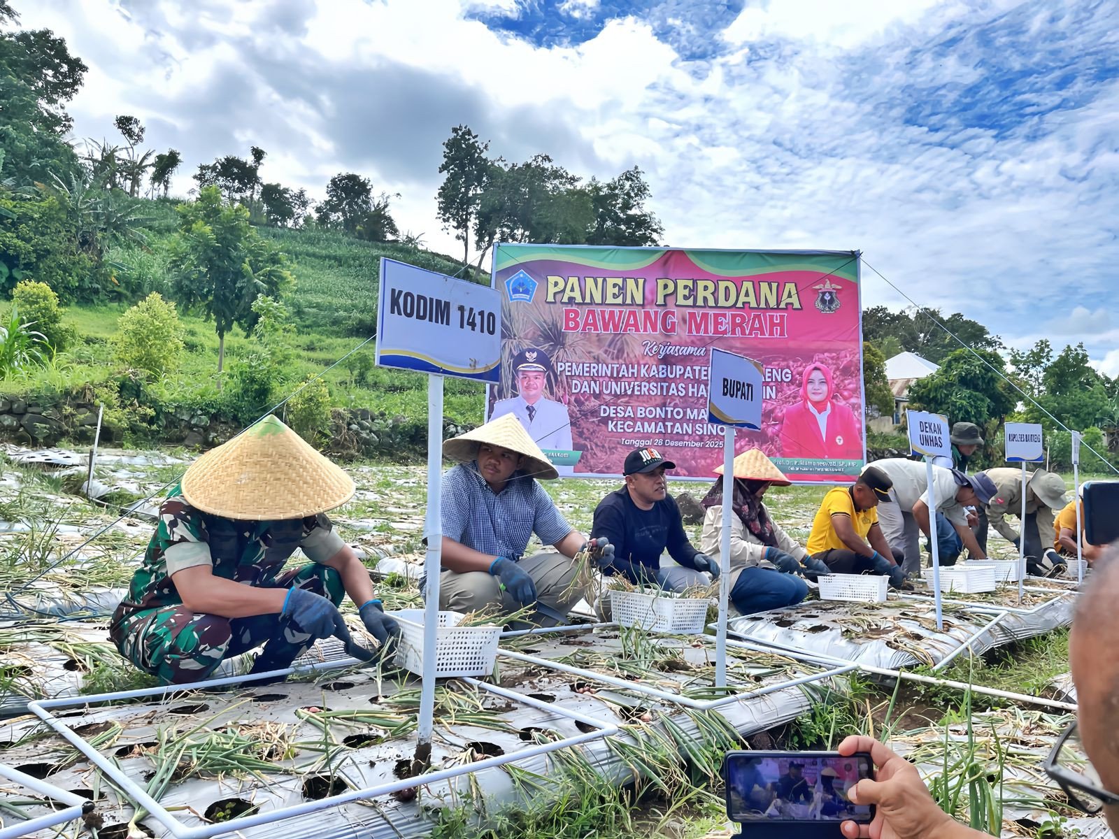 Sinergi Pemkab Bantaeng dengan Unhas: Panen Perdana Bawang Merah Desa Maccini Perkuat Sektor Perbenihan