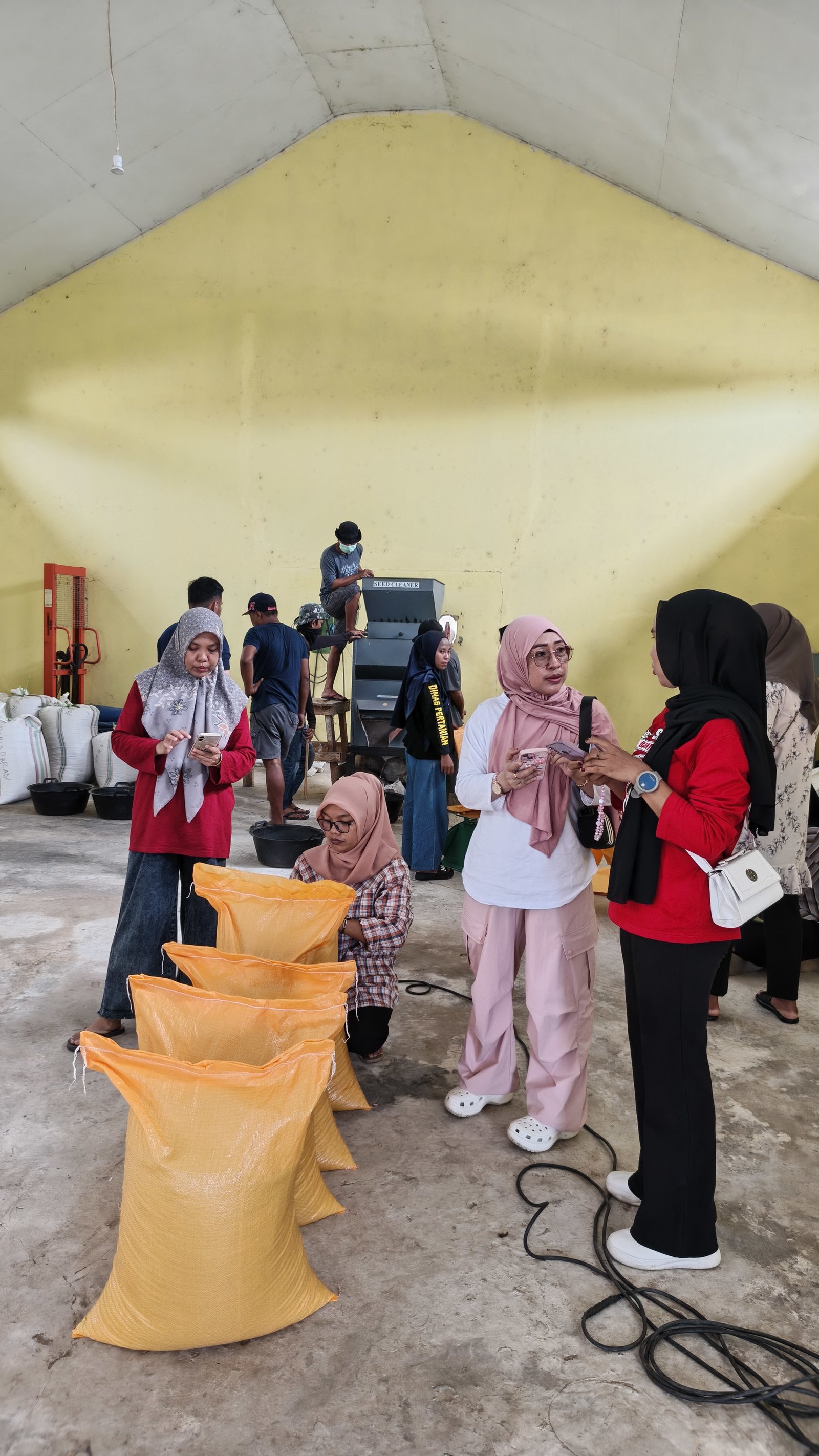 Bidang Tanaman Pangan dan UPTD Tanaman Pangan Bantaeng Lakukan Pembersihan Benih padi genjah dan Pengemasan  