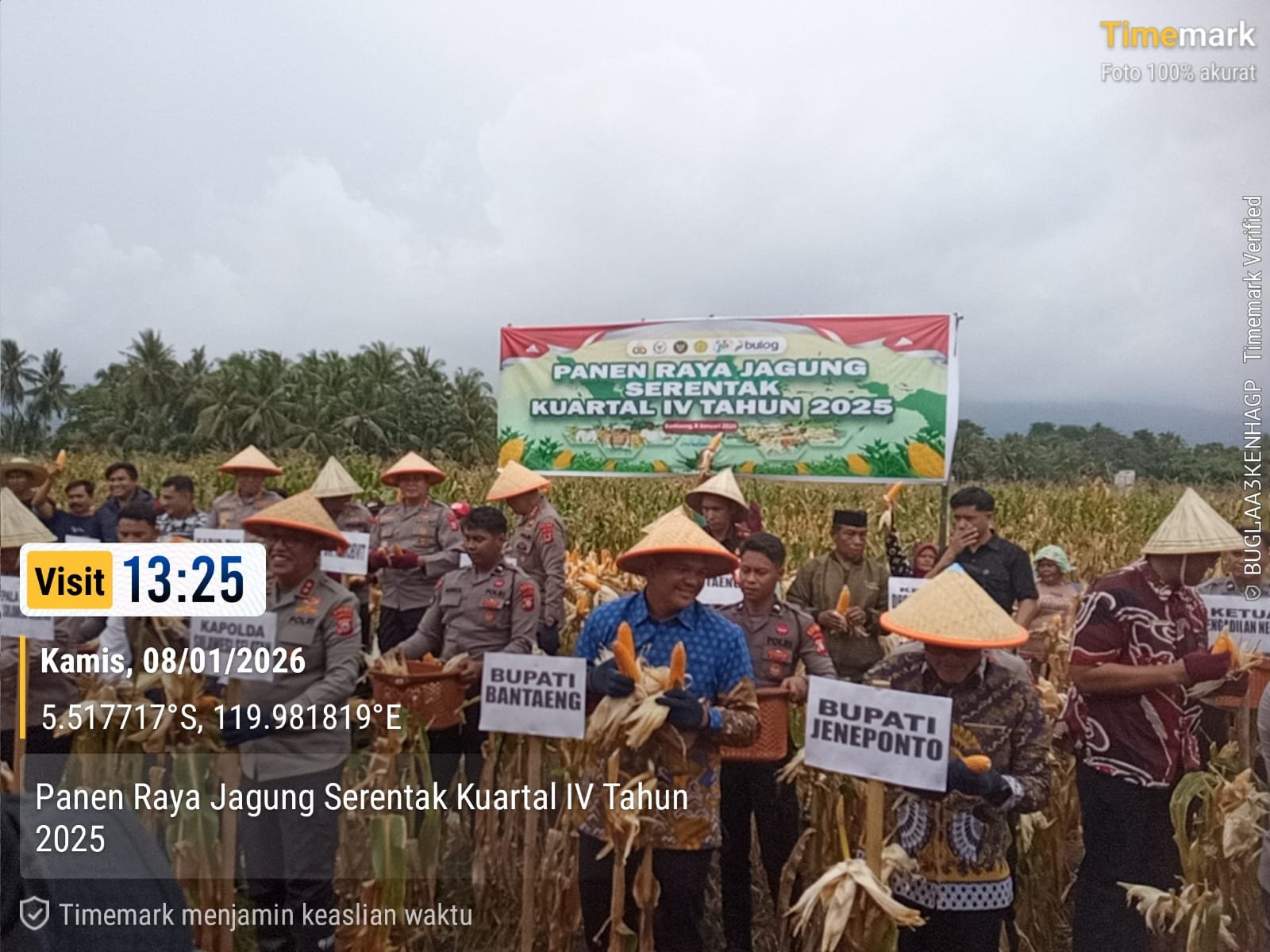Panen Raya Jagung Serentak Kuartal IV 2025 bersama Kepolisian RI di Desa Ulugalung Kecamatan Eremerasa Kabupaten Bantaeng