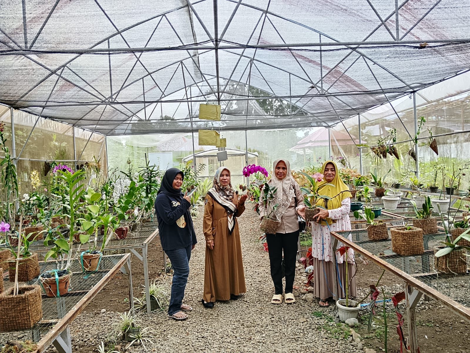 Pastikan Bantuan Tepat Sasaran, Plt Kabid Hortikultura Bantaeng Pantau GH Anggrek KWT Suka Maju