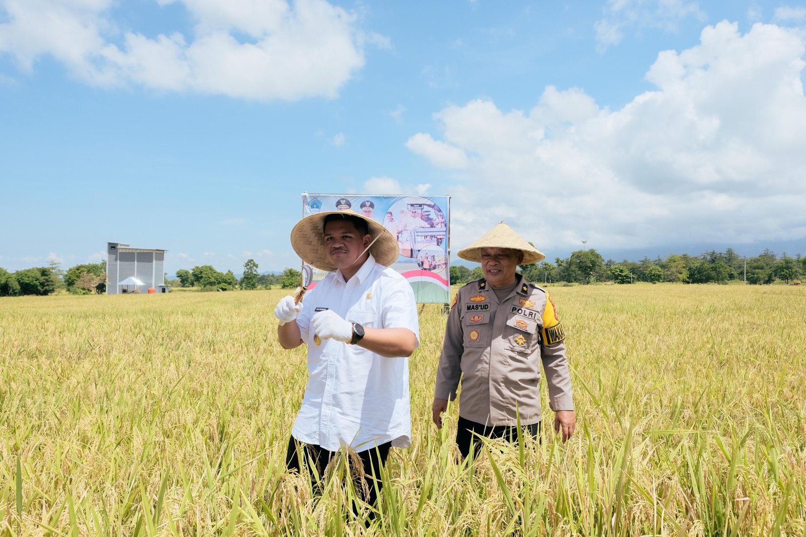 Panen Raya Padi Serentak di Bantaeng, Bupati Uji Nurdin Ungkap Serapan Gabah Capai 84%