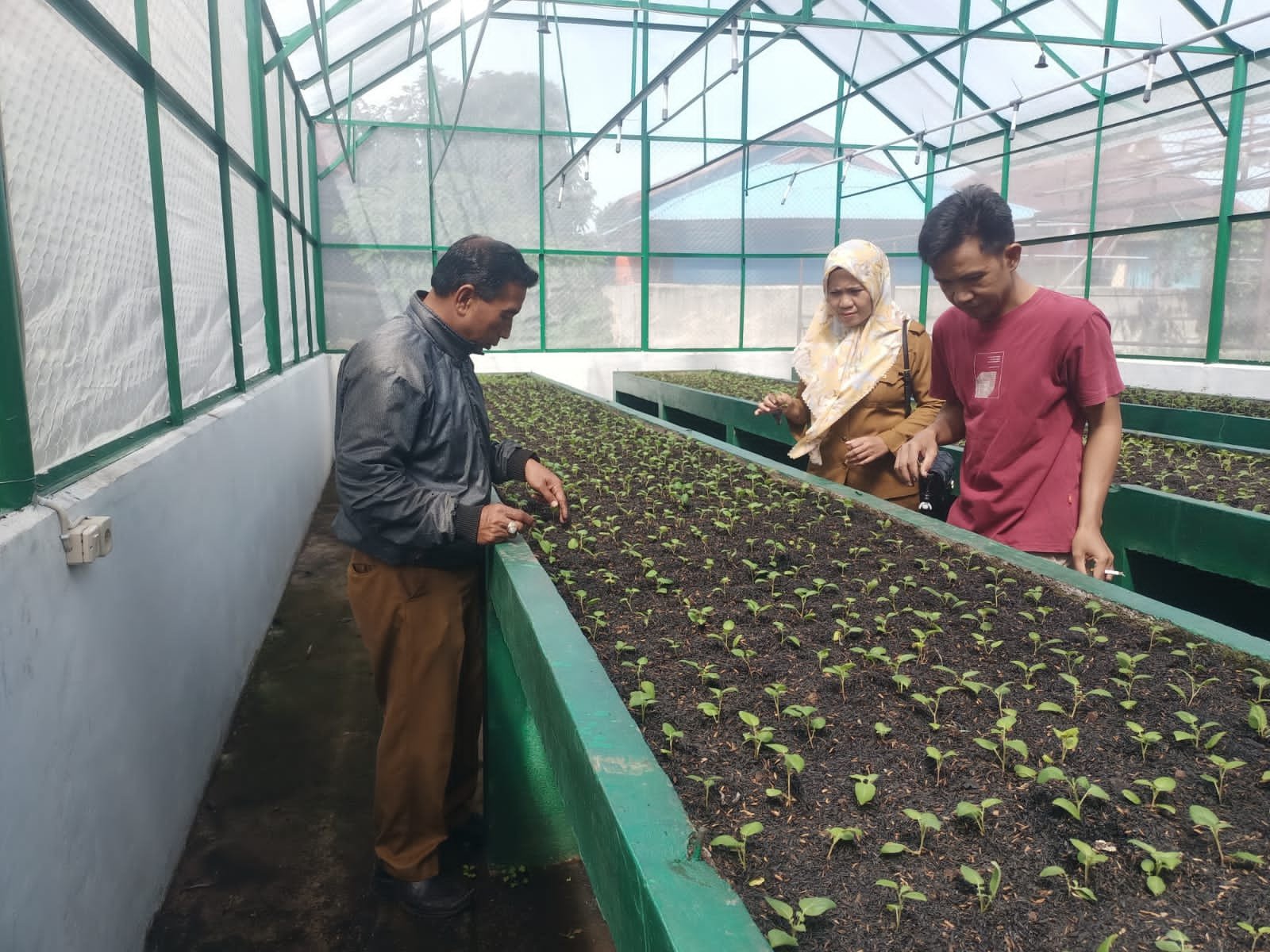 Sinergi Pemkab Bantaeng dan Unhas: Pantau Perkembangan Benih Kentang Kultur Jaringan di laboratorium Hortikultura Desa Bonto Marannu