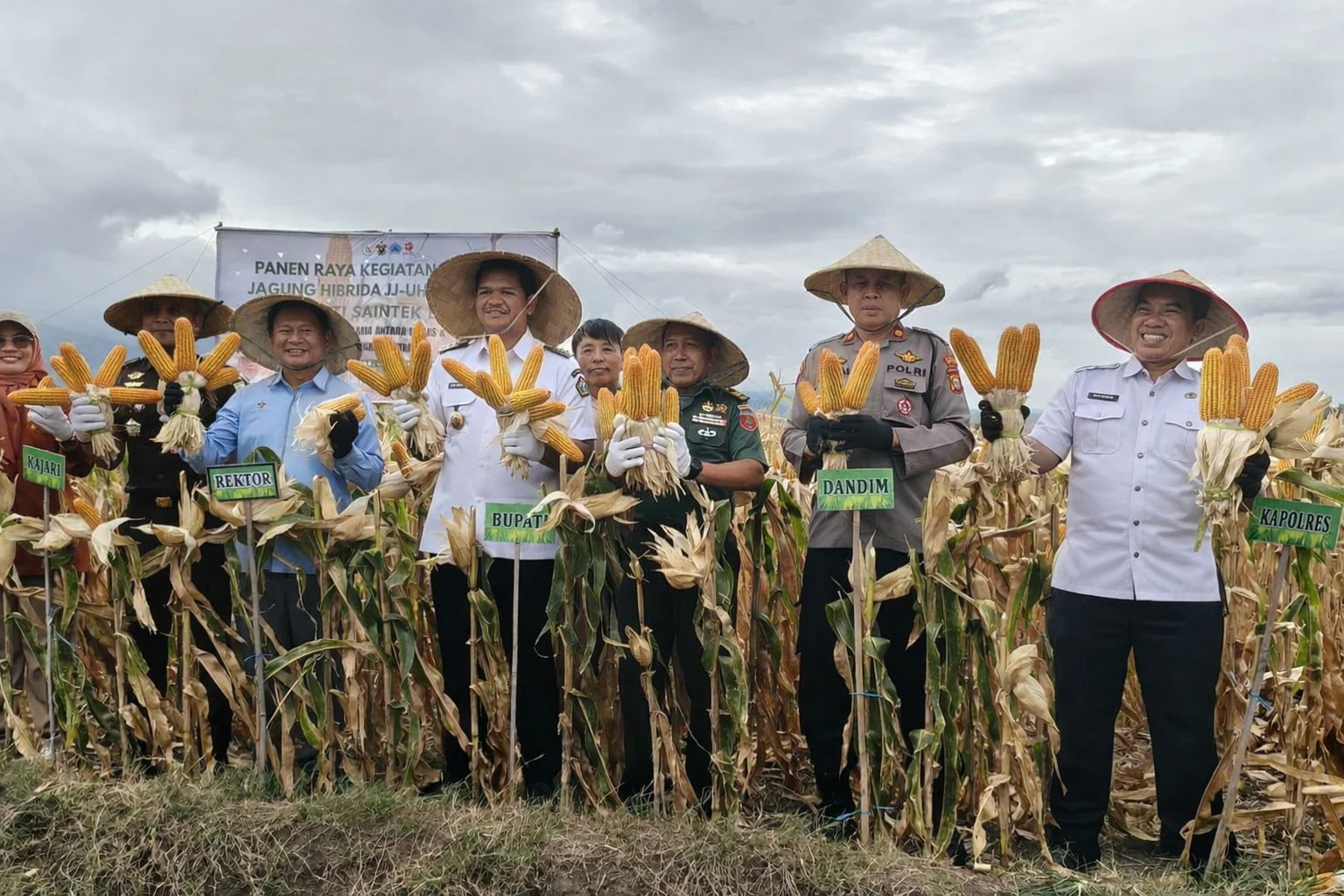 Bantaeng Gelar Panen Raya Jagung (Demplot) dan Padi Genjah