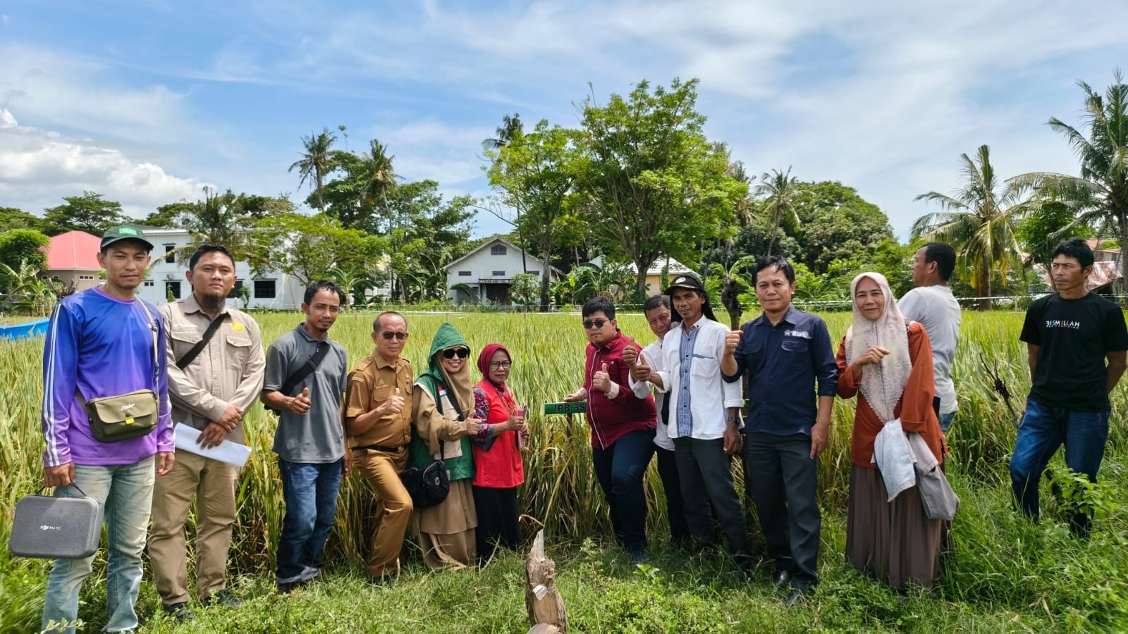 PENANGKARAN VARIETAS PADI GENJAH 