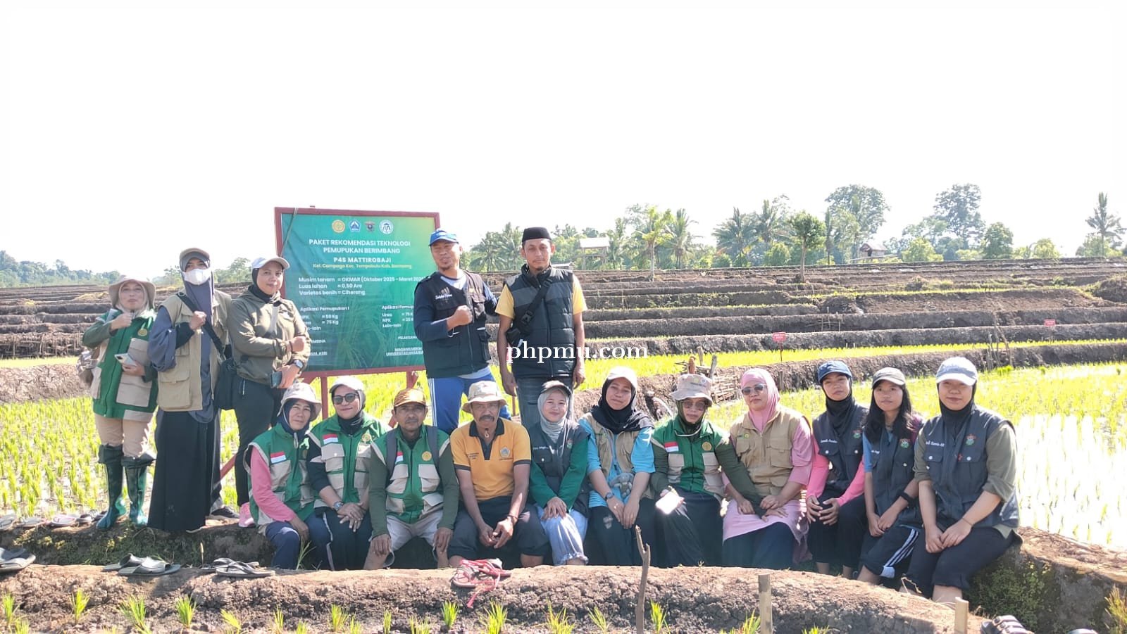 Pendampingan Program LTT (Penyulaman, Pengendalian OPT dan Pemupukan