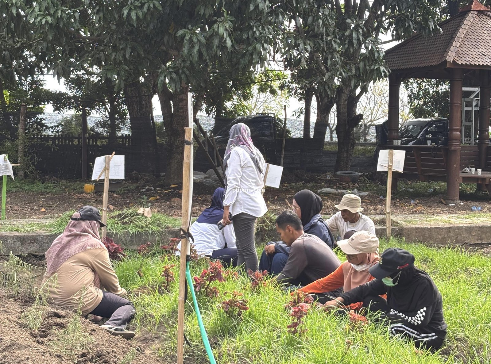 Revitalisasi Kebun Edukasi Pantai Marina, Plt. Kabid Hortikultura Turun Tangan Beri Pendampingan 