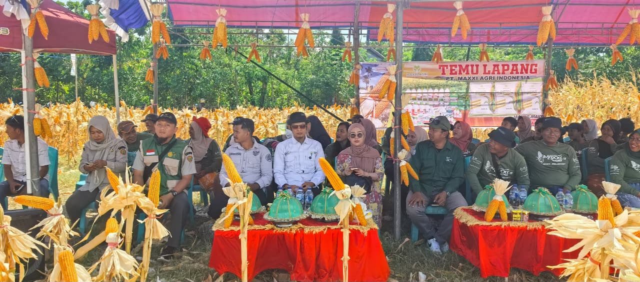 PT Maxxi Agri Indonesia Gelar Temu Lapang di Pa’jukukang, Perkuat Sinergi dan Akses Teknologi Pertanian