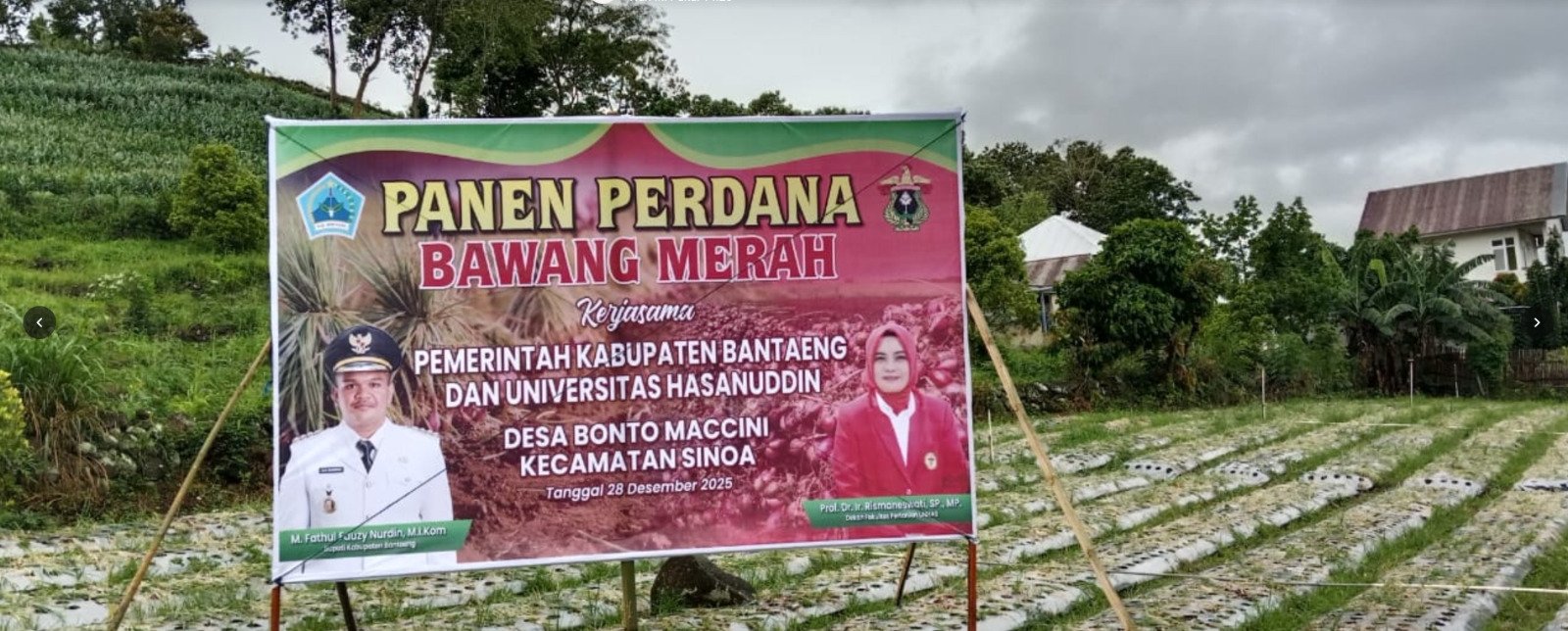 Penyuluhan Pertanian Modern